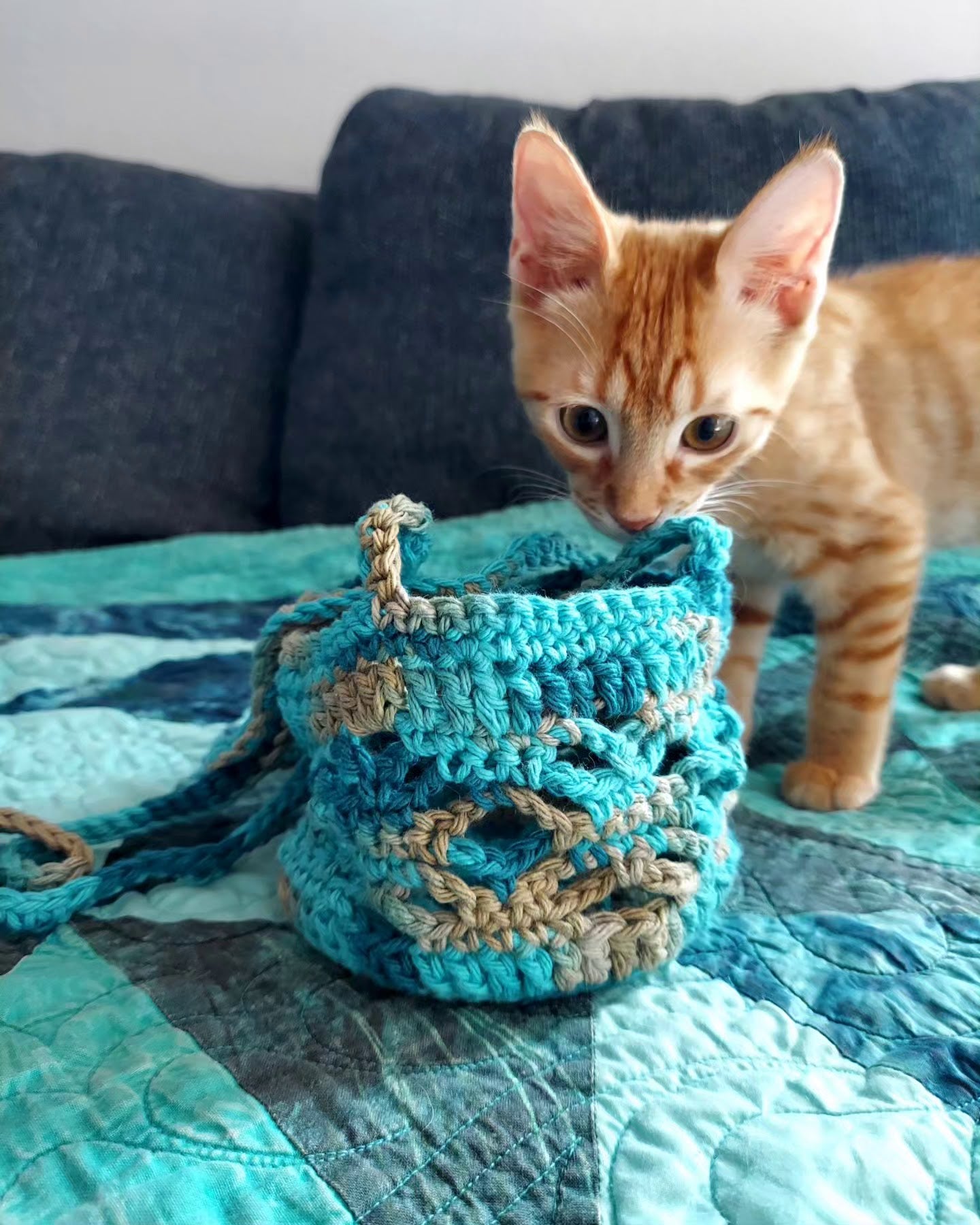 Sonoran Plant Hanger